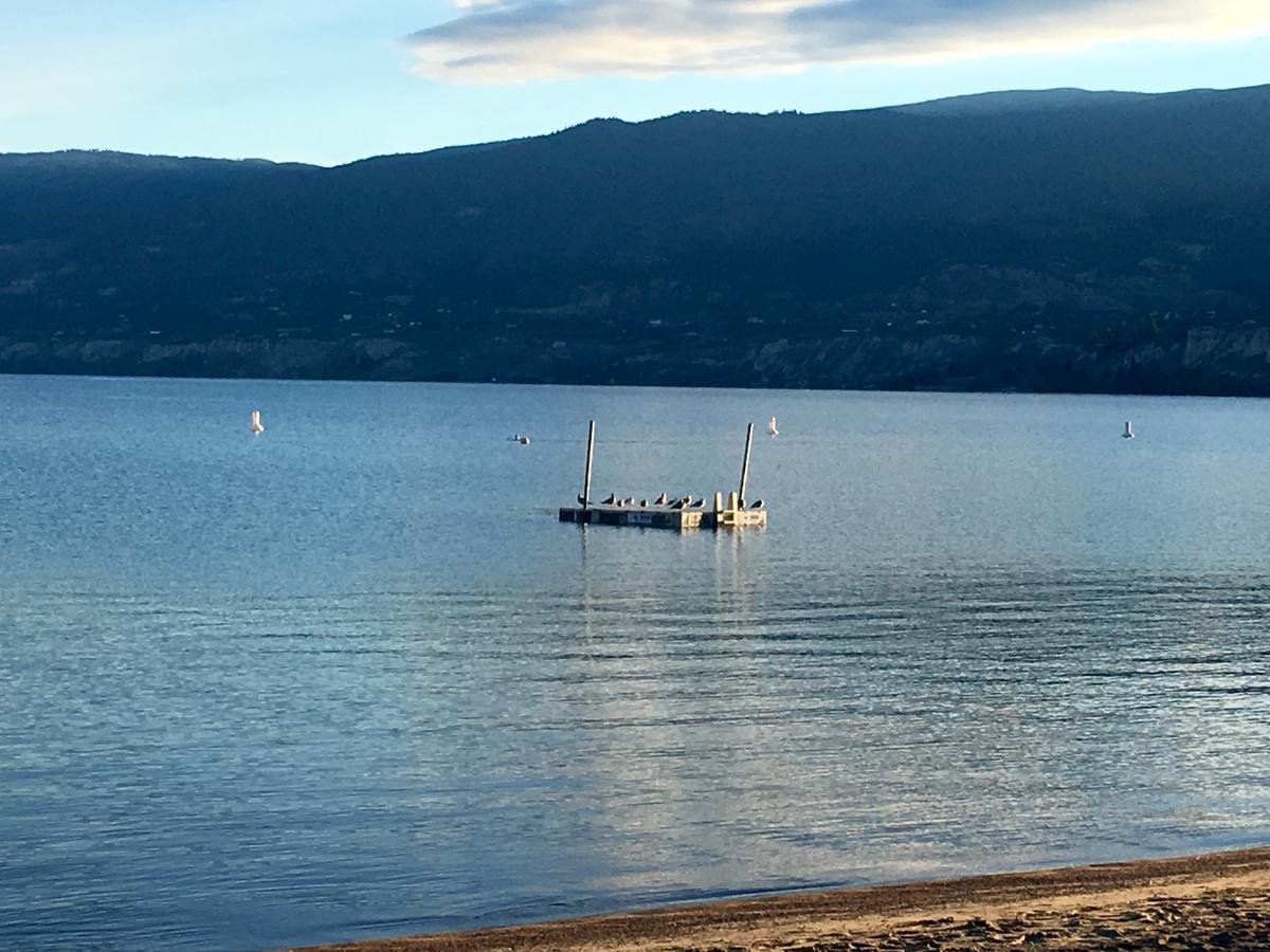 Black Sea Motel Penticton Bagian luar foto