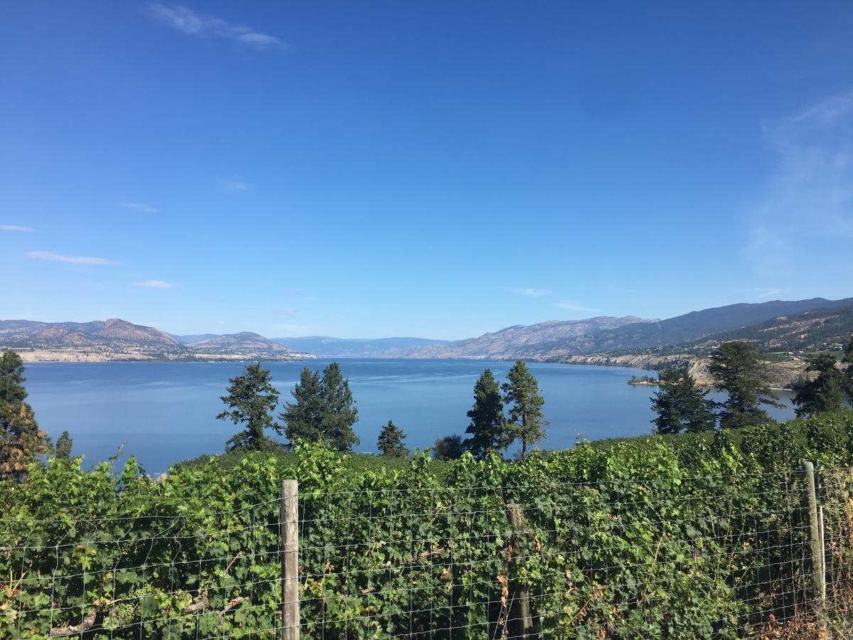 Black Sea Motel Penticton Bagian luar foto